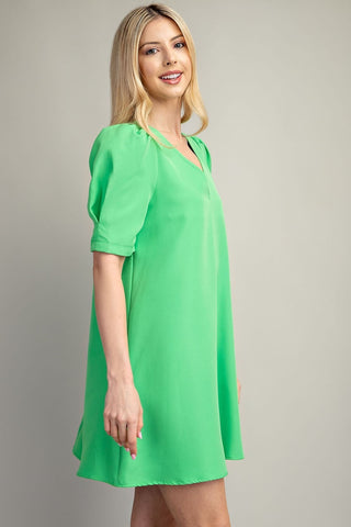 Puff Sleeve Mini Dress