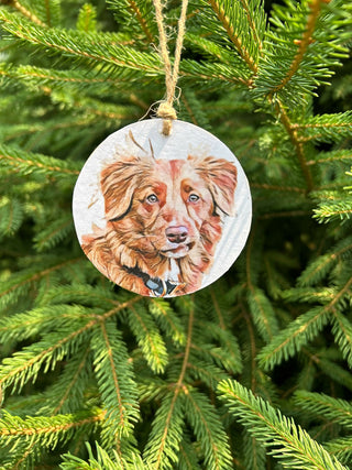 Personalized Ornaments - Pet portraits