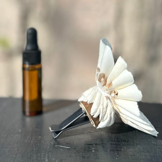 Sweet Vanilla Sugar Car Freshener Air Vent Clip