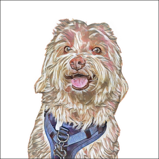 Personalized Ornaments - Pet portraits