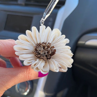 Silk Touch Car Freshener Air Vent Clip