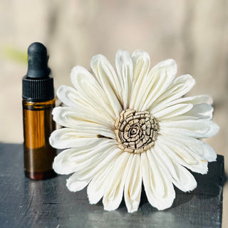 Cashmere Breeze Car Freshener Air Vent Clip