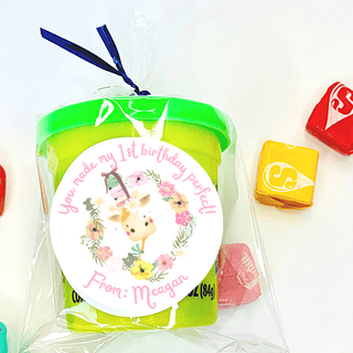 Personalized Girls Birthday Party Stickers & Treat Bags