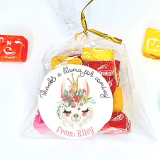 Personalized Girls Birthday Party Stickers & Treat Bags