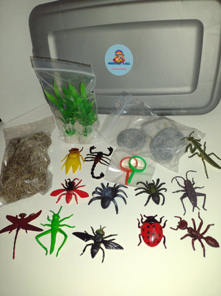 Insect Themed Activity Sensory Play Rice Bin from Sensory 4 All